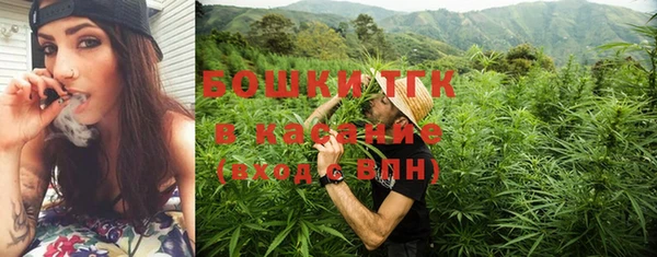 PSILOCYBIN Козловка