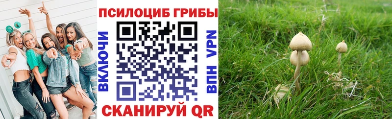 цена наркотик  Ильский  Галлюциногенные грибы мухоморы 