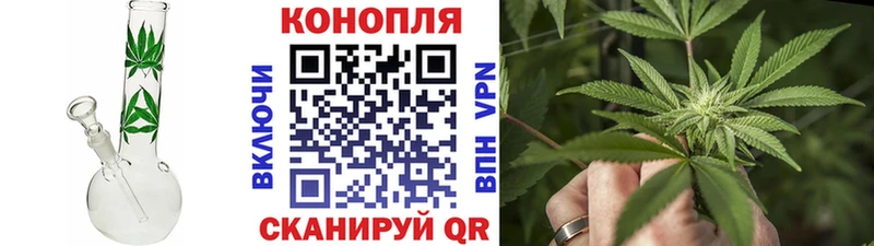 Бошки марихуана VHQ  наркота  Ильский 